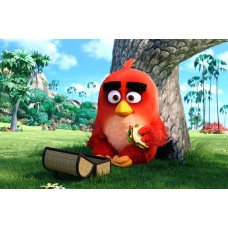 A4ABM1 Vafa Angry birds 30x20cm